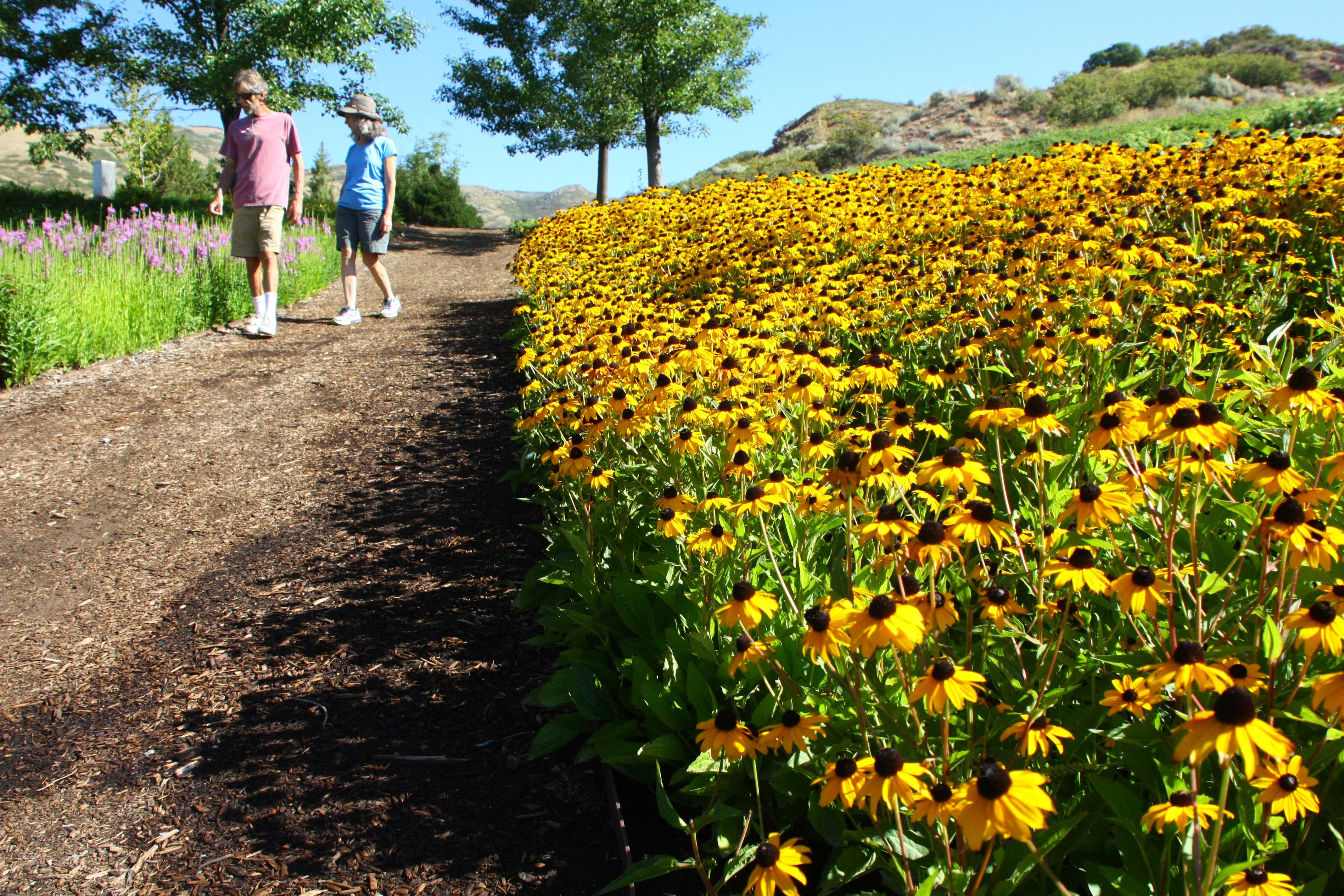 Visitors walk along a path at Red Butte Gardens, Saturday, August 28, 2015.