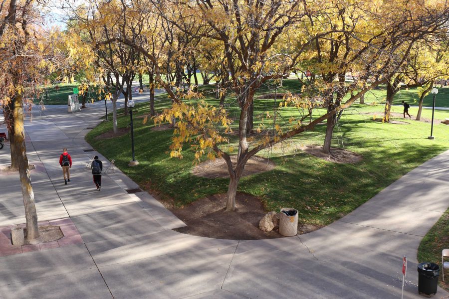 Students Utilize Free Speech Zones on Campus