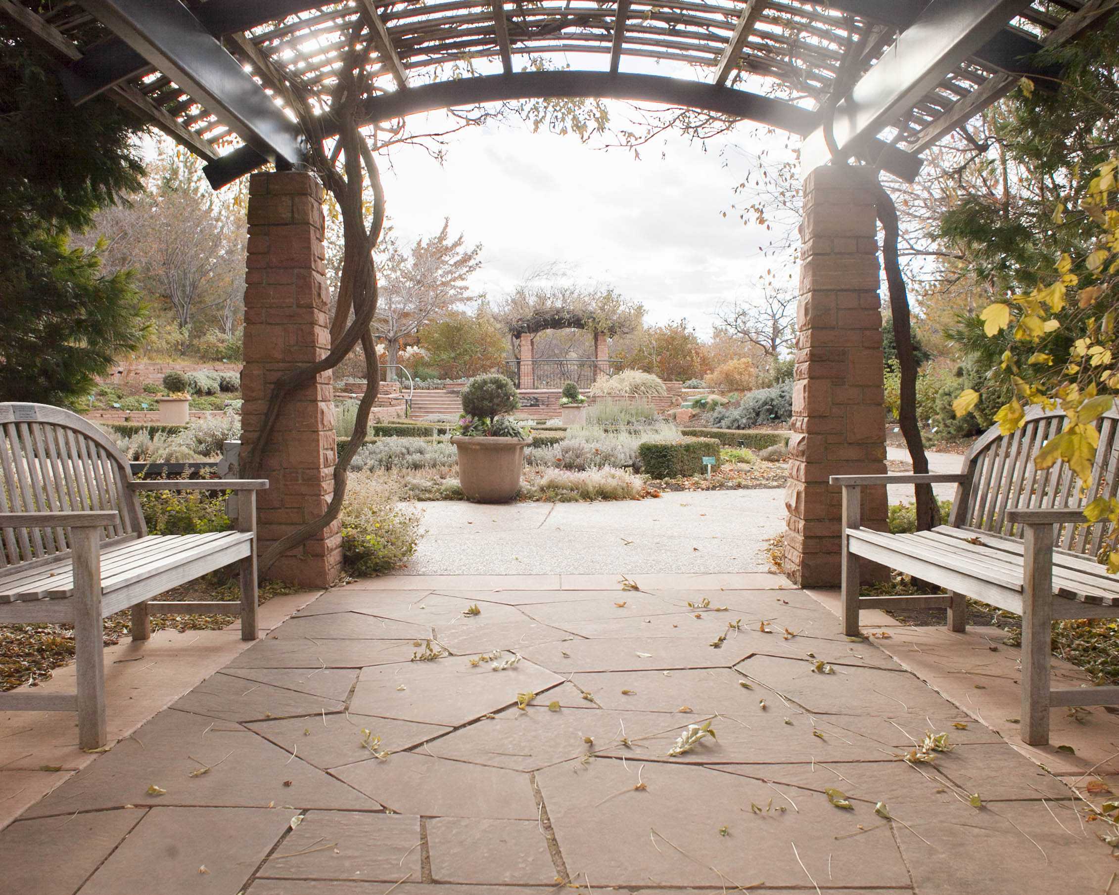 Beauty, Solitude of Red Butte Gardens Worth Braving the Winter Weather
