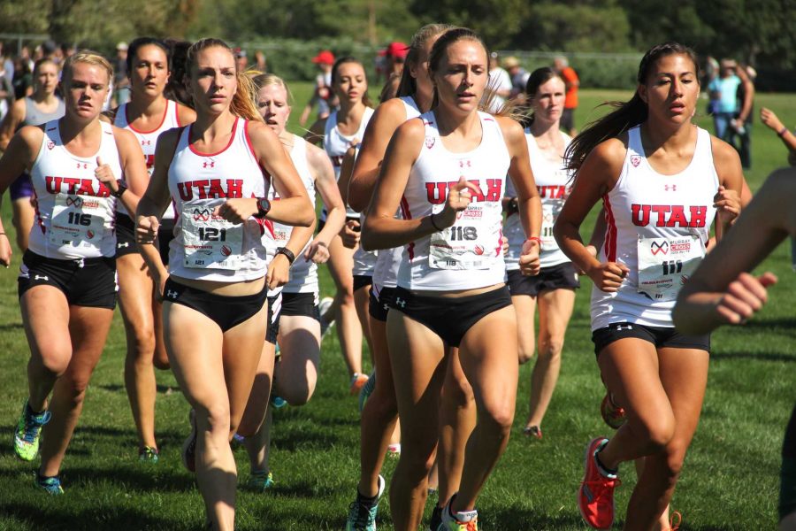Cross Country: 2015 Ute Team Made Its Mark in Program History