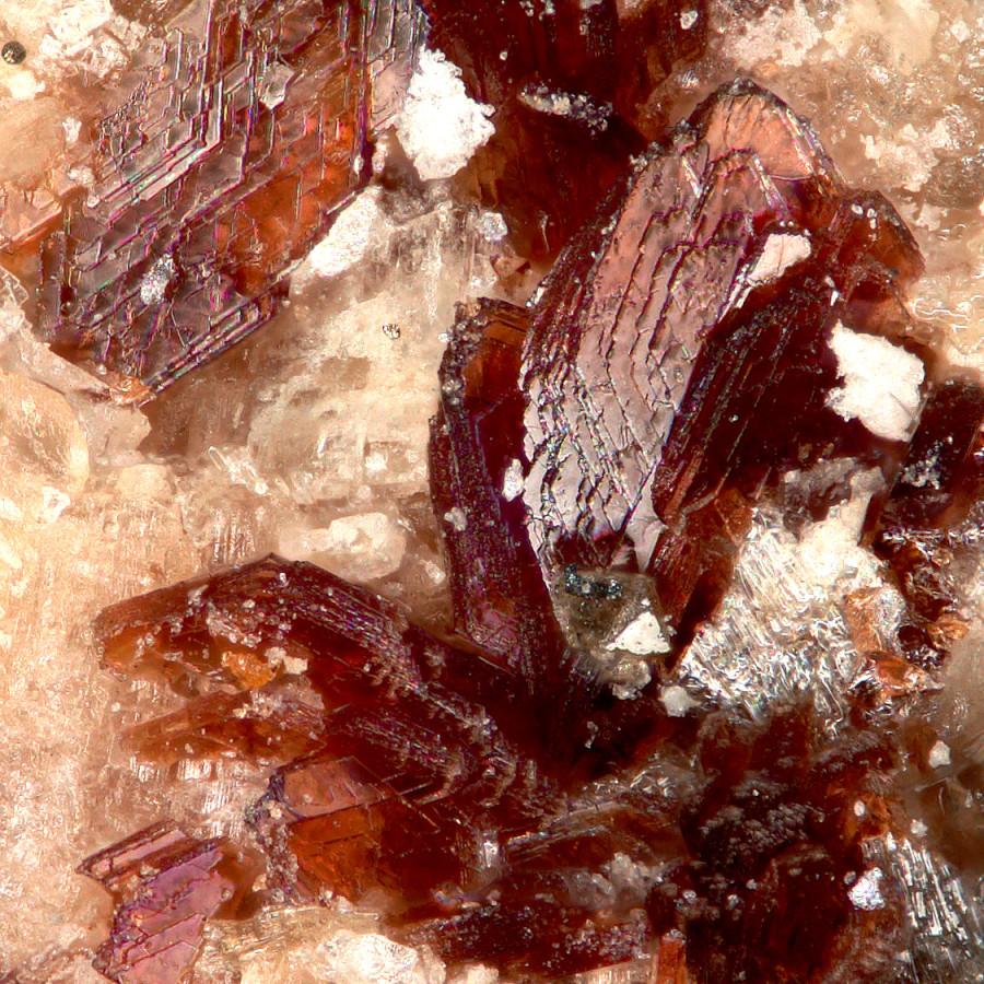 Mineral Discovered by Amateur Mineralogist and Former U Employee Wins Mineral of the Year Award
