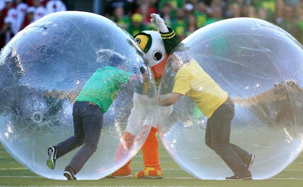 The Oregon mascot, Puddles, gets caught in between two contest participants during Pac-12 play against the Utah Utes at Autzen Stadium in Eugene, Ore., Saturday, Sept. 26, 2015. Chris Samuels, Daily Utah Chronicle.