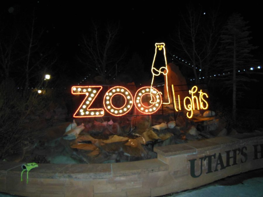 Lighten+Up+With+a+Trip+to+Zoolights