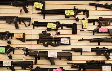 Obamas Executive Action on Gun Control an Effort to Curtail Partisan Deadlock