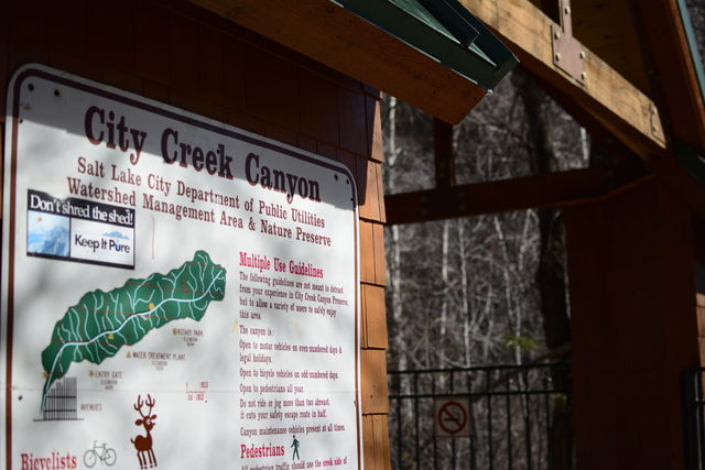 City Creek Canyon, Wednesday, March 9th, 2016, Peter Creveling Utah Chronicle