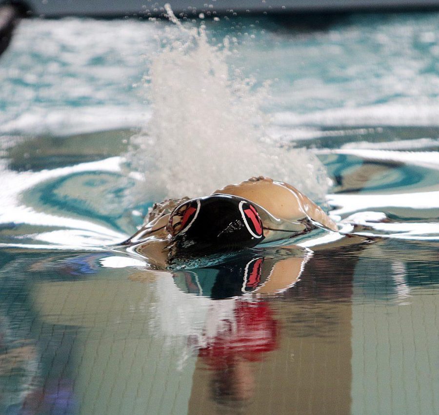 Freshman Gillian St. John competes in the 100 freestyle during a Pac-12 womens swimming meet against the Washington State Cougars at the Ute Natatorium, Saturday, Feb., 13, 2016. (Chris Samuels, Daily Utah Chronicle)
