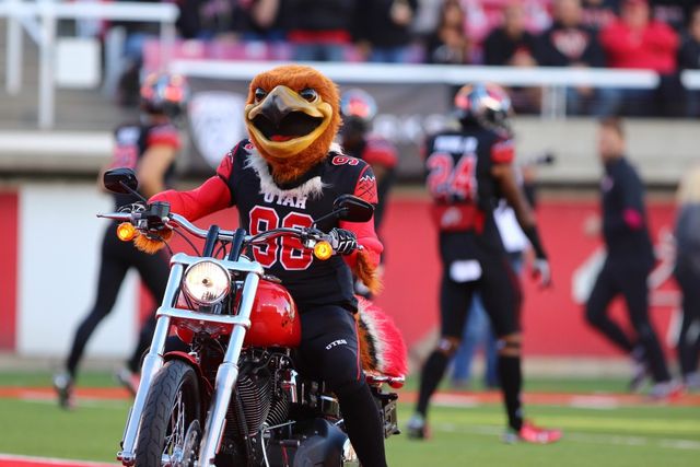 Swoop enters the field on a motorcycle before the Utah Utes play the Oregon State Beavers in Pac-12 football at Rice Eccles Stadium, Saturday, Oct. 31, 2015. Tara Lincoln, Daily Utah Chronicle.