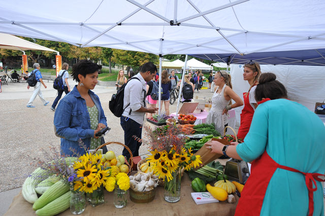 Fresh flowers and vegetables from Edible Campus at the Plaza farmers market.