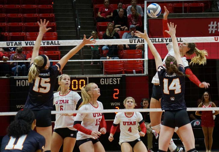 Berkeley Oblad spikes the ball during the Utah Utes Womens NCAA volleyball victory over the Oregon State Beavers at the Huntsman Center in Salt Lake City, Utah on Saturday, Oct.22, 2016. (Rishi Deka, Daily Utah Chronicle)