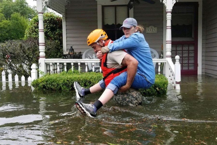 Williams: Another Eye-Roll for Trumps Efforts In Houston