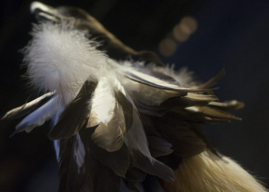 The Native American eagle headdress that was displayed on stage during the Solidarity Rally against racism at Washington Square Park in Salt Lake City, Utah on Monday, Aug. 14, 2017. (Rishi Deka | Daily Utah Chronicle)