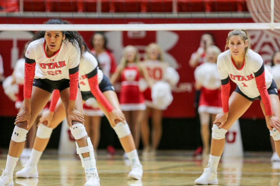 Tawnee Luafalemana #20 and  Dani Barton #1 ready for serve. University of Utah  Volleyball girls take on California Golden Bears for the win 3-0 . University of Utah takes the win in Salt Lake City, UT on Saturday,Jan.1, 2017

(Photo by Jose Remes/ Daily Utah Chronicle)