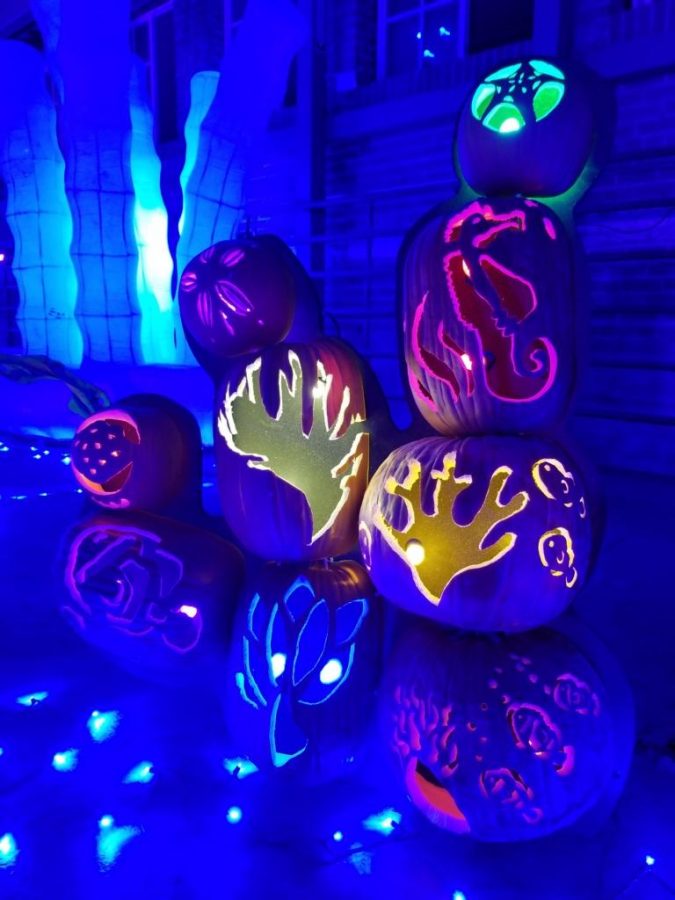 Glow in the dark pumpkin display at Pumpkin Nights