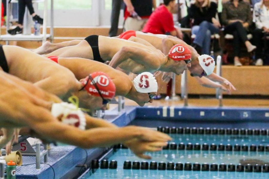Sophomore Brody Lewis starts out of the blocks as the Utah Men and Womens Swim and Dive Team take on the Stanford Cardinals at the Ute Natatorium in Salt Lake City, UT on Friday, Oct. 20, 2017.

(Photo by Curtis Lin/ Daily Utah Chronicle)