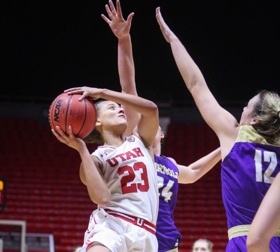 Daneesha Provo (0)  shoots the ball in the Utah Utes Womens basketball victory game over Carroll College at the Huntsman Center in Salt Lake City, Utah on Thursday, November 2, 2017.

(Photo by Cassandra Palor/ Daily Utah Chronicle)