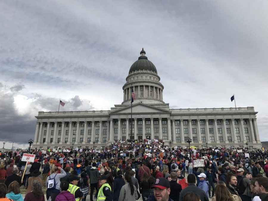 An estimated 8,000 people attended the March for Our Lives rally on March 24 at the Utah State Capitol. (Chronicle archives)