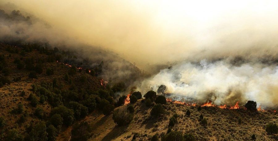 Utah_Army_National_Guard_fights_northern_Utah_fires_130812-F-PD696-862