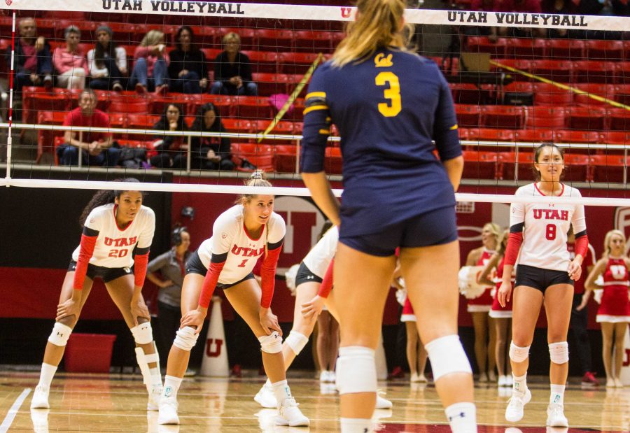 University of Utah  Volleyball girls take on California Golden Bears for the win 3-0 . University of Utah takes the win in Salt Lake City, UT on Sunday,Sept.24, 2017

(Photo by Jose Remes/ Daily Utah Chronicle)