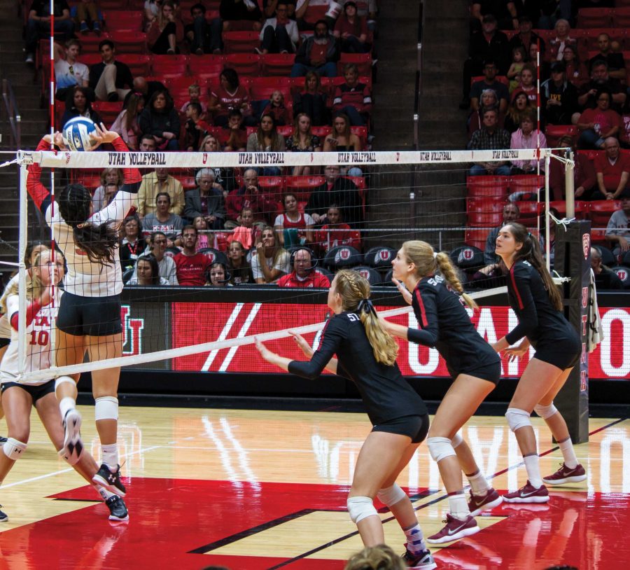 Volleyball Goes 0-2 in Home Weekend