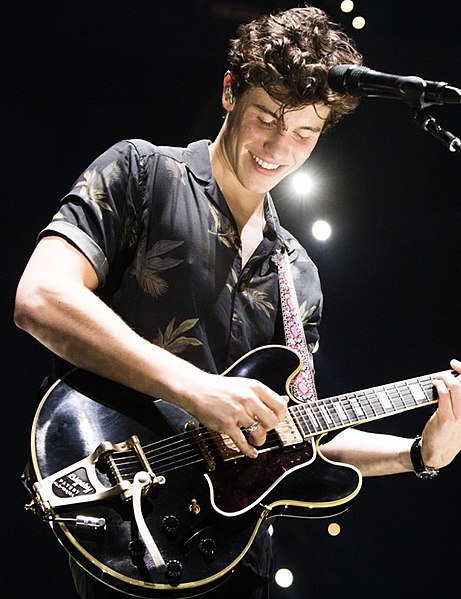 Shawn Mendes, courtesy Wikimedia Commons.