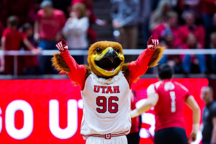Swoop, the current mascot of the University of Utah. | Chronicle archives.