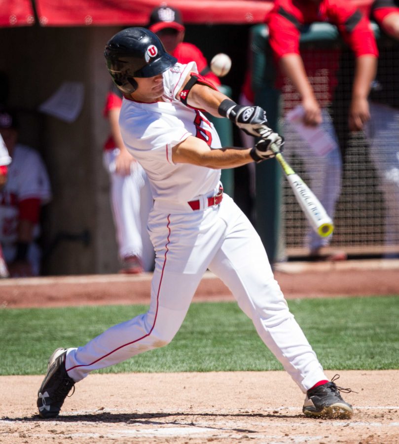 University+of+Utah+Baseballs+sophomore+outfielder+Chandler+Anderson+%2816%29+pops+up+in+an+PAC+12+Game+vs.+The+Arizona+State+Sun+Devils+at+The+Salt+Lake+Bees+Stadium%2C+Salt+Lake+City%2C+UT+on+Saturday%2C+May+27%2C+2017%0A%0A%28Photo+by+Adam+Fondren+%7C+Daily+Utah+Chronicle%29