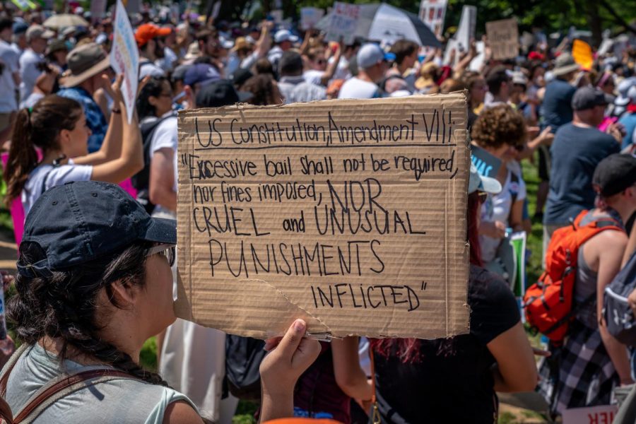 A protestor carries a sign quoting the 8th Amendment. (Courtesy Flickr)