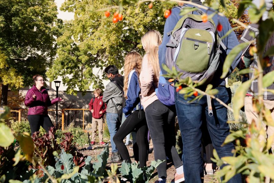 Students learn in one of the edible campus gardens. (Courtesy of Jessica Kemper)