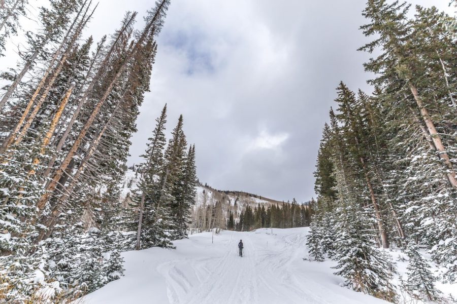 A hiker walks on the snow-filled trail on the Big Cottonwood Canyon on Dec. 29, 2017. (Photo by Abu Asib | The Daily Utah Chronicle)