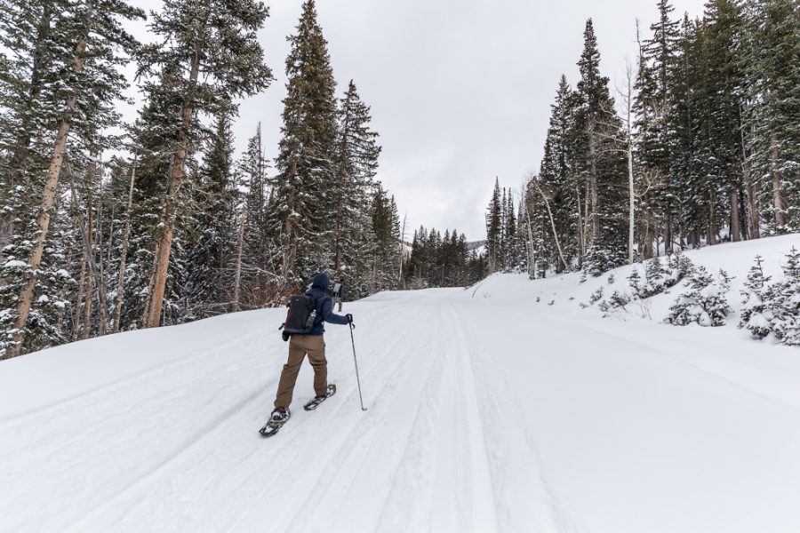 Big Cottonwood Canyon offers a tremendous route for snowmobiles and winter hiking. Photographed on Dec. 29, 2017 (Photo by Abu Asib | The Daily Utah Chronicle)
