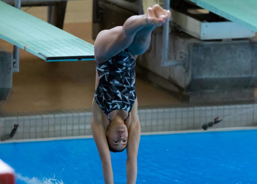 Diver during the swim and dive meet vs The Colo Mesa Mavericks on Jan 23, 2021 at the Ute Natatorium on campus. (Photo by Jack Gambassi | The Daily Utah Chronicle)
