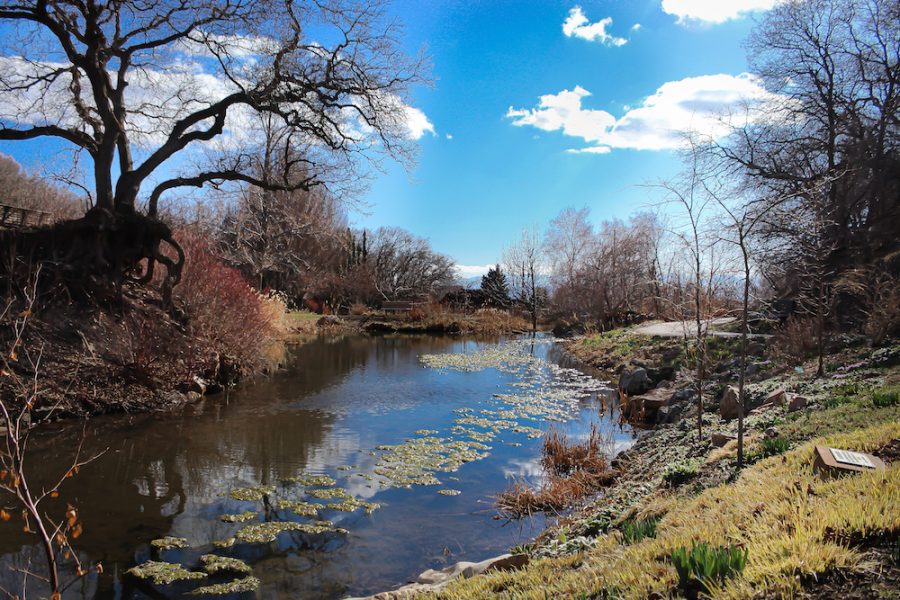 Red Butte Garden on March 31, 2021 in Salt Lake City. (Photo by Hailey Danielson | Daily Utah Chronicle)