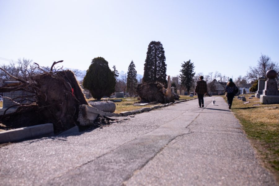 Salt Lake City Cemetery continues to suffer damages from last Falls windstorm on Sunday afternoon. (Photo by Maya Fraser | The Daily Utah Chronicle)