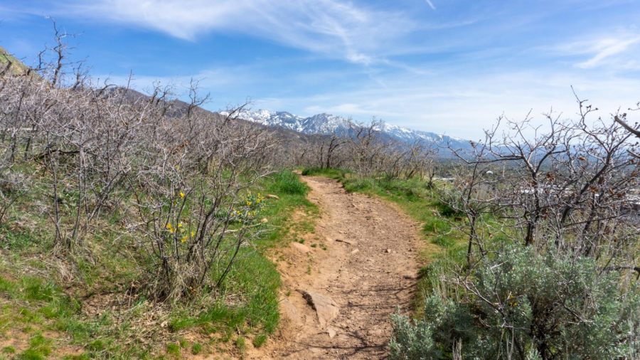 Local hiking trails near the University of Utah (Photo by Tom Denton | The Daily Utah
Chronicle)
