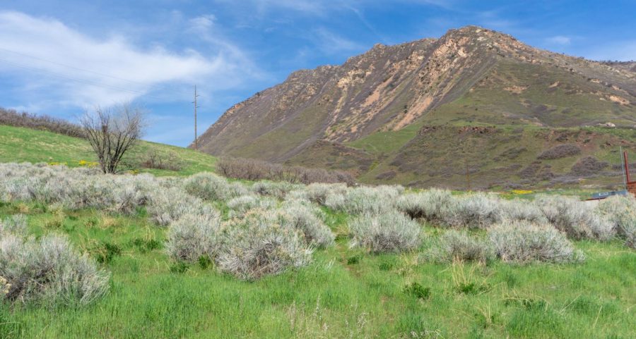 Local hiking trails near the University of Utah (Photo by Tom Denton | The Daily Utah
Chronicle)