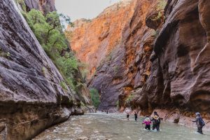 Visitors hike the narrows in Zion National Park in October 2020. (Photo by Silvana Peterson | The Daily Utah Chronicle)