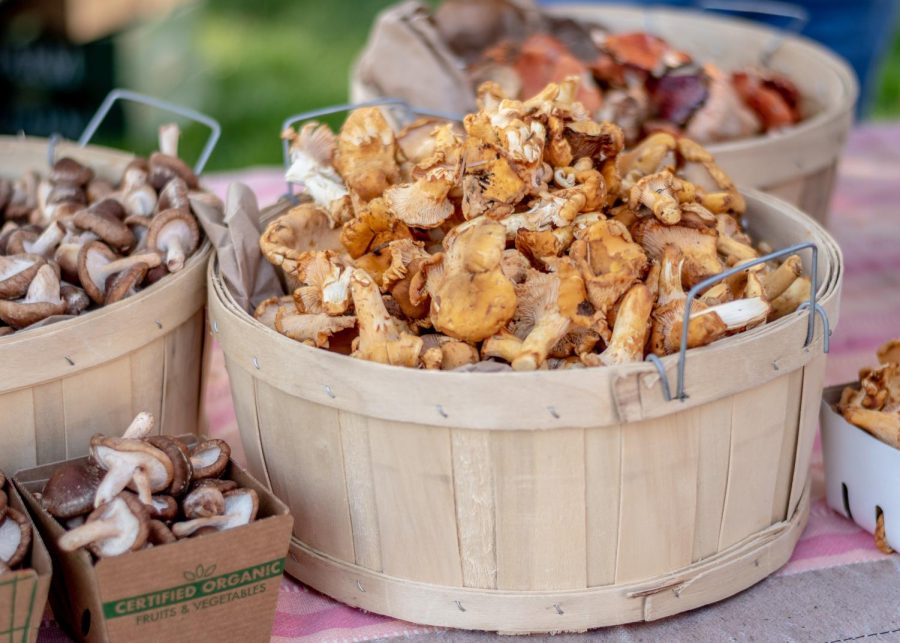 Mushrooms for sale at the downtown farmers market at Pioneer Park in Salt Lake City on Oct. 2, 2021. (Photo by Jack Gambassi | The Daily Utah Chronicle)
