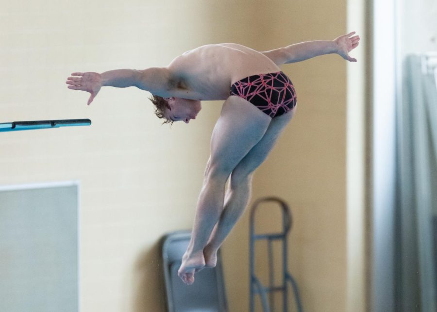Diver during the swim and dive meet vs. the Colo Mesa Mavericks on Jan. 23, 2021, at the Ute Natatorium on campus. (Photo by Jack Gambassi | The Daily Utah Chronicle)
