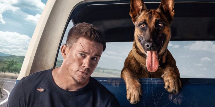 Channing Tatum and Lulu in Dog Courtesty of MGM