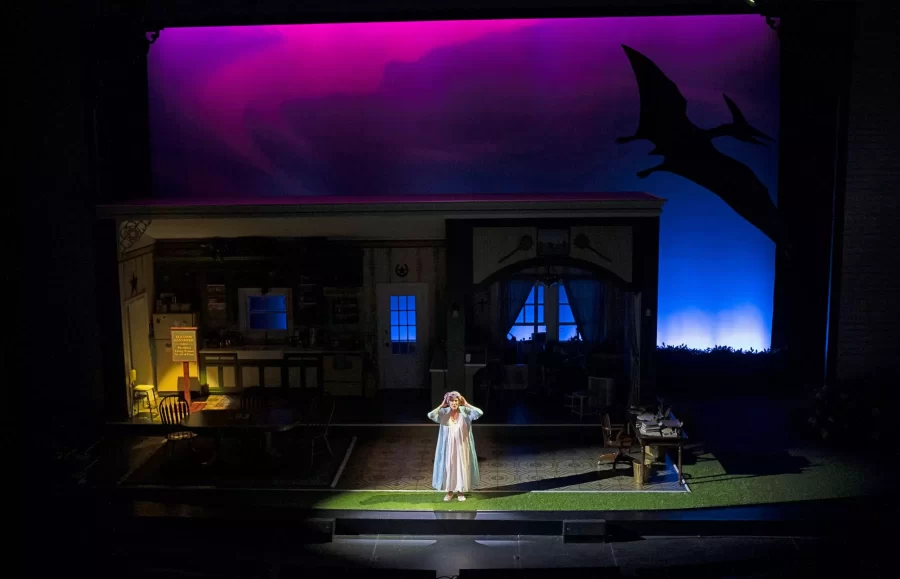 Joy Franz in Fireflies at Pioneer Theatre Company. (Courtesy pioneertheatre.org)