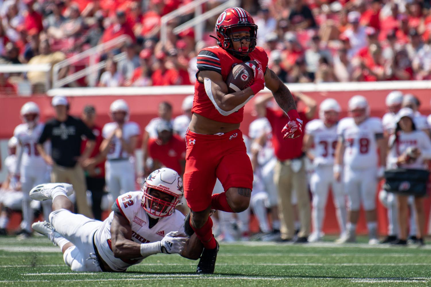 Utah Football Dominates Southern Utah in Home Opener The Daily Utah