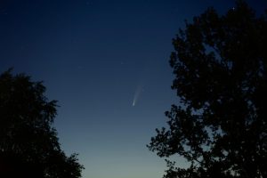 (Photo by Oksana Shchegolkova: https://www.pexels.com/photo/silhouette-of-trees-under-night-sky-8759756/)