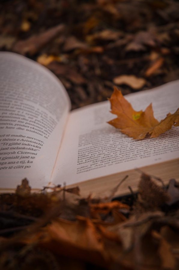 Brown Dried Leaf on Book Page (Photo by Marsel Hasanllari | Courtesy Pexels)