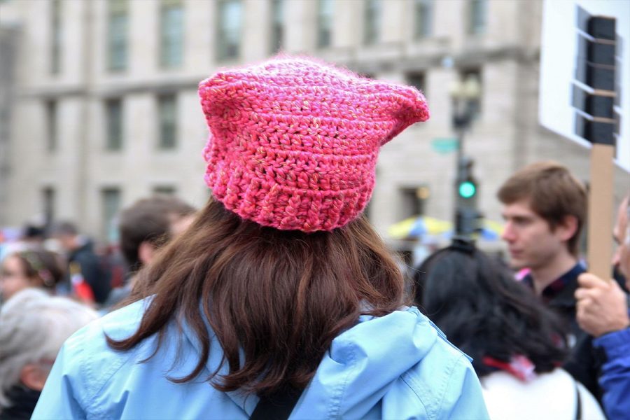 Photo+by+Wikemedia+Commons%3A+https%3A%2F%2Fcommons.wikimedia.org%2Fwiki%2FFile%3AWomen%2527s_March_on_Washington_-_woman_with_pussyhat.jpg