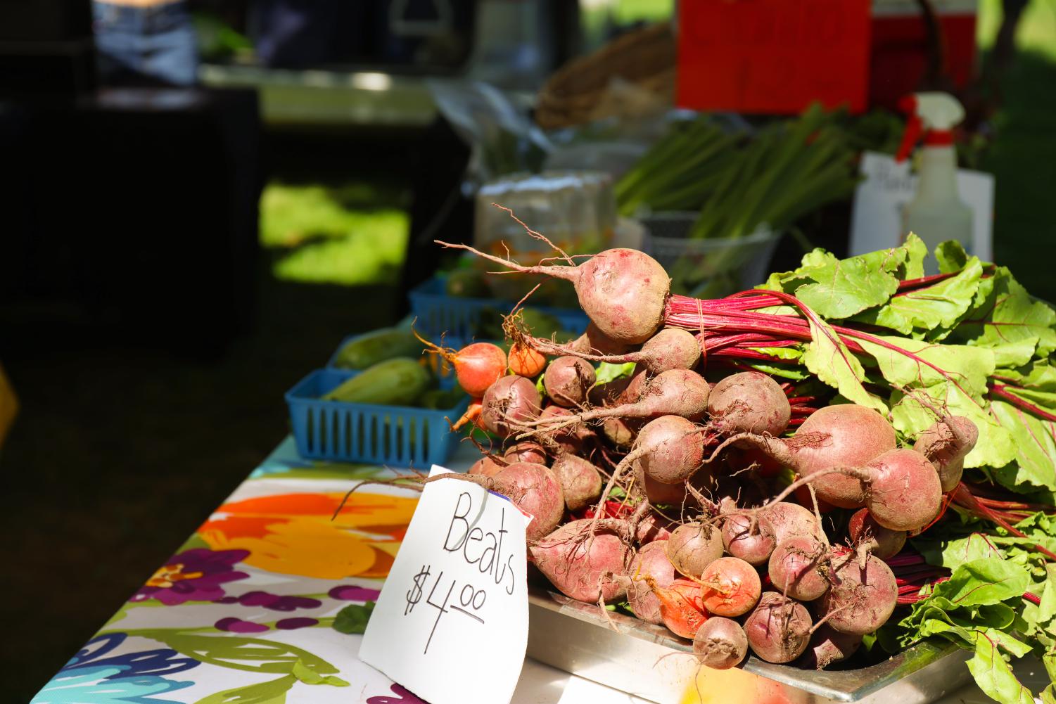 The Downtown Farmers Market in Pioneer Park, downtown Salt Lake City on Saturday June 24, 2023. (Photo by Sophie Felici |The Daily Utah Chronicle)