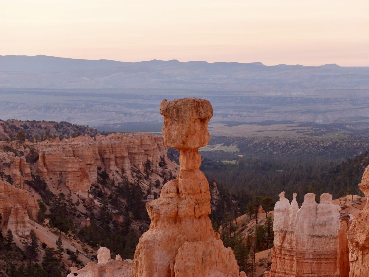 Bryce Canyon National Park on June 24, 2023. (Photo by Haley Freeman | The Daily Utah Chronicle)