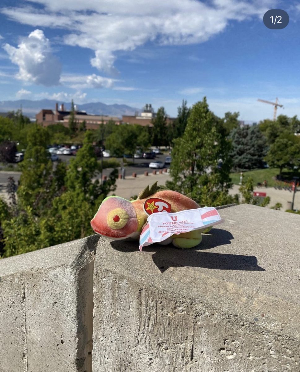 Day 71 that the @uofubeaniebabies Instagram account placed a beanie babie somewhere on the University of Utah campus for students to find. (Courtesy of @uofubeaniebabies)