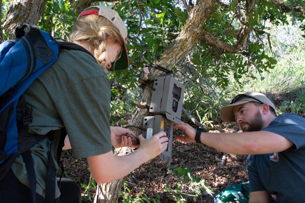 Wasatch Wildlife Watch project lead Austin Green setting up a trail camera for local wildlife at Parleys Historic Nature Park in Utah on June 28, 2022. (Photo courtesy of Gabriel Brown)