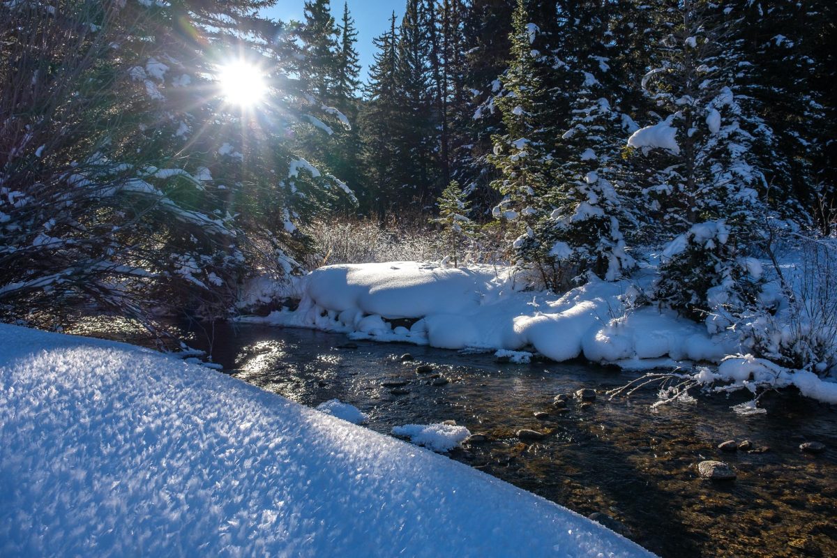 Water flows through Big Cottonwood Creek in Big Cottonwood Canyon, Utah, on Friday, Dec. 6, 2024. Eric Gerson, a Salt Lake resident who both works and recreates in Big Cottonwood Canyon, stressed the importance of watersheds in the Wasatch. “It is significant because it is the start of all life,” said Gerson. “For the plants and animals and insects and birds … they use the water to sustain themselves as much as we human beings use the water to sustain ourselves.” (Photo by Marco Lozzi | The Daily Utah Chronicle)