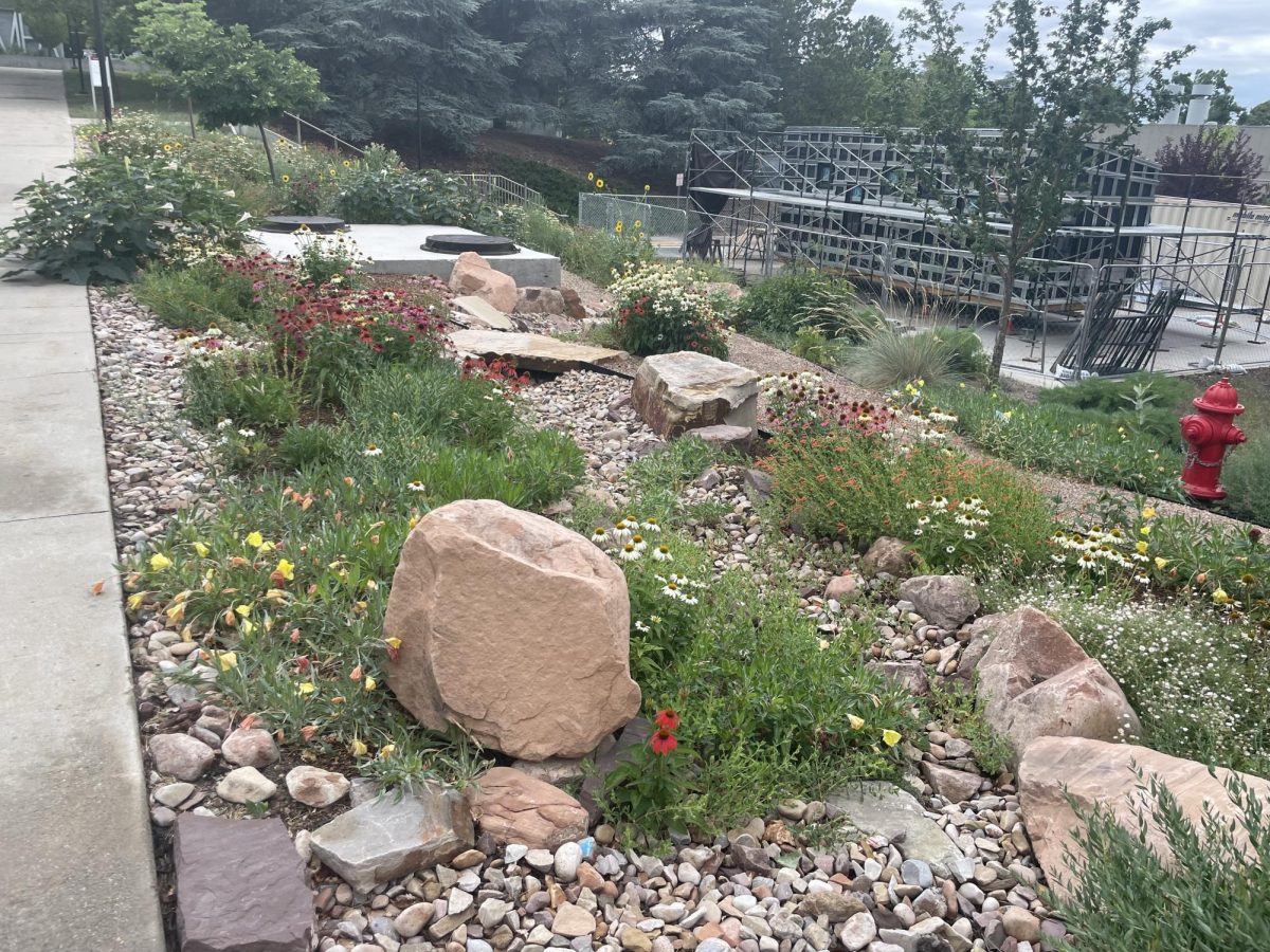 Water wise plants in a cluster of rocks on the walkway to the J. Willard Marriott Library. (Photo courtesy of Ali McKelvy)
